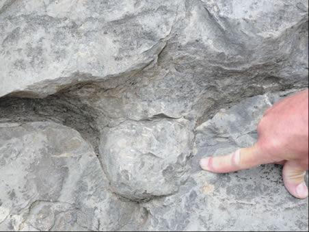 Load cast from overlying limestone unit through calcareous mudstone